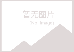 鹤岗东山代云能源有限公司